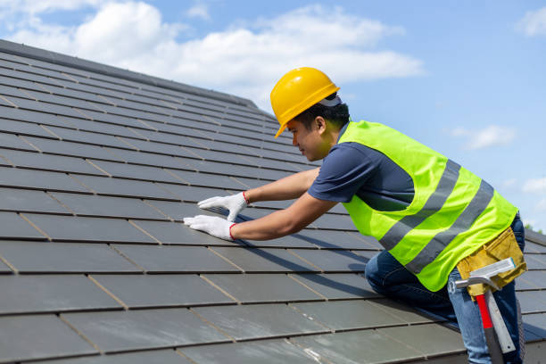 Best Roof Ventilation Installation  in Taft, FL